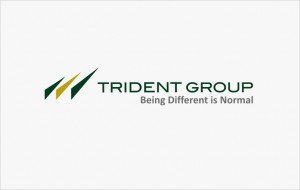 trident-group-inspired